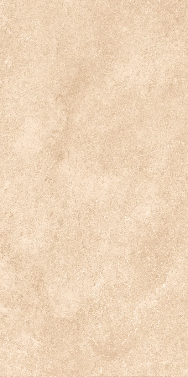 face 6